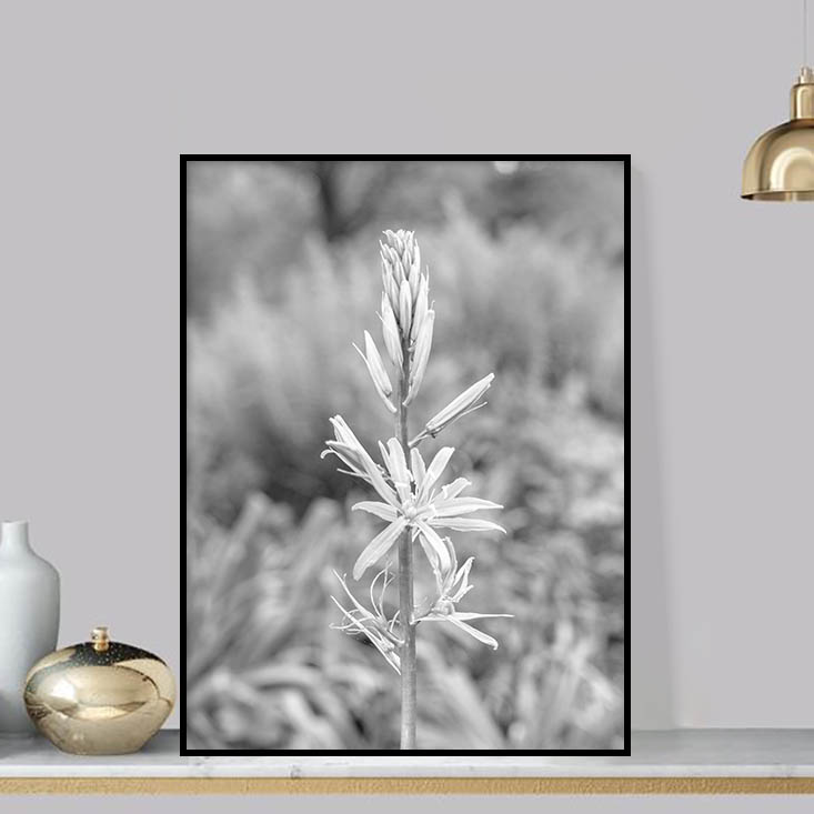 Quadro - Michel Fraitag - Colorless Flowers 7