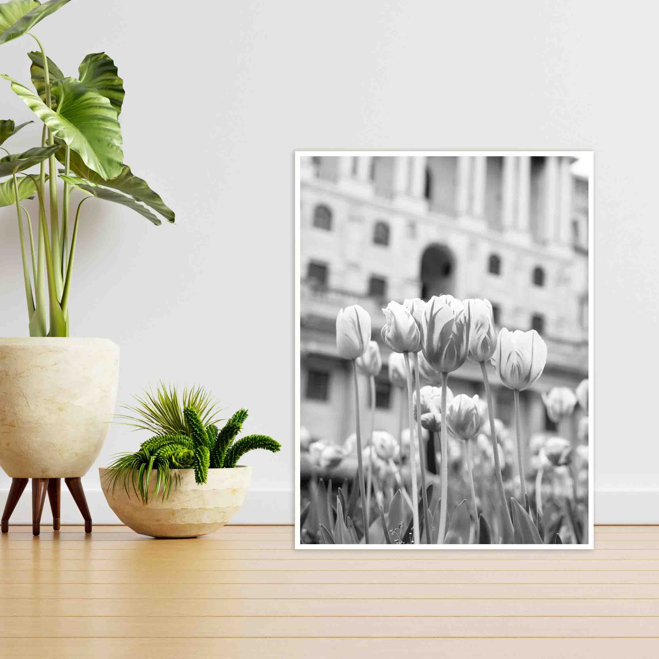 Quadro - Michel Fraitag - Colorless Flowers 8 - Imagem 3