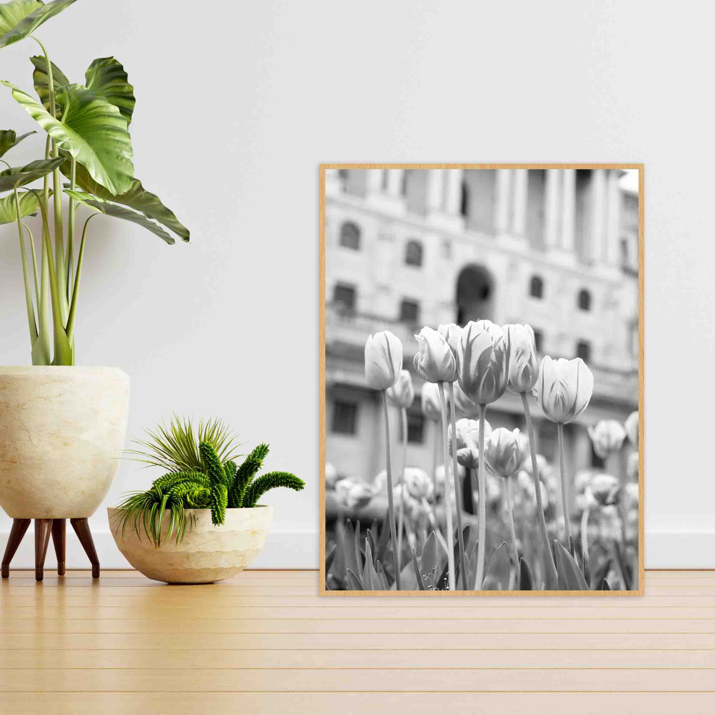 Quadro - Michel Fraitag - Colorless Flowers 8