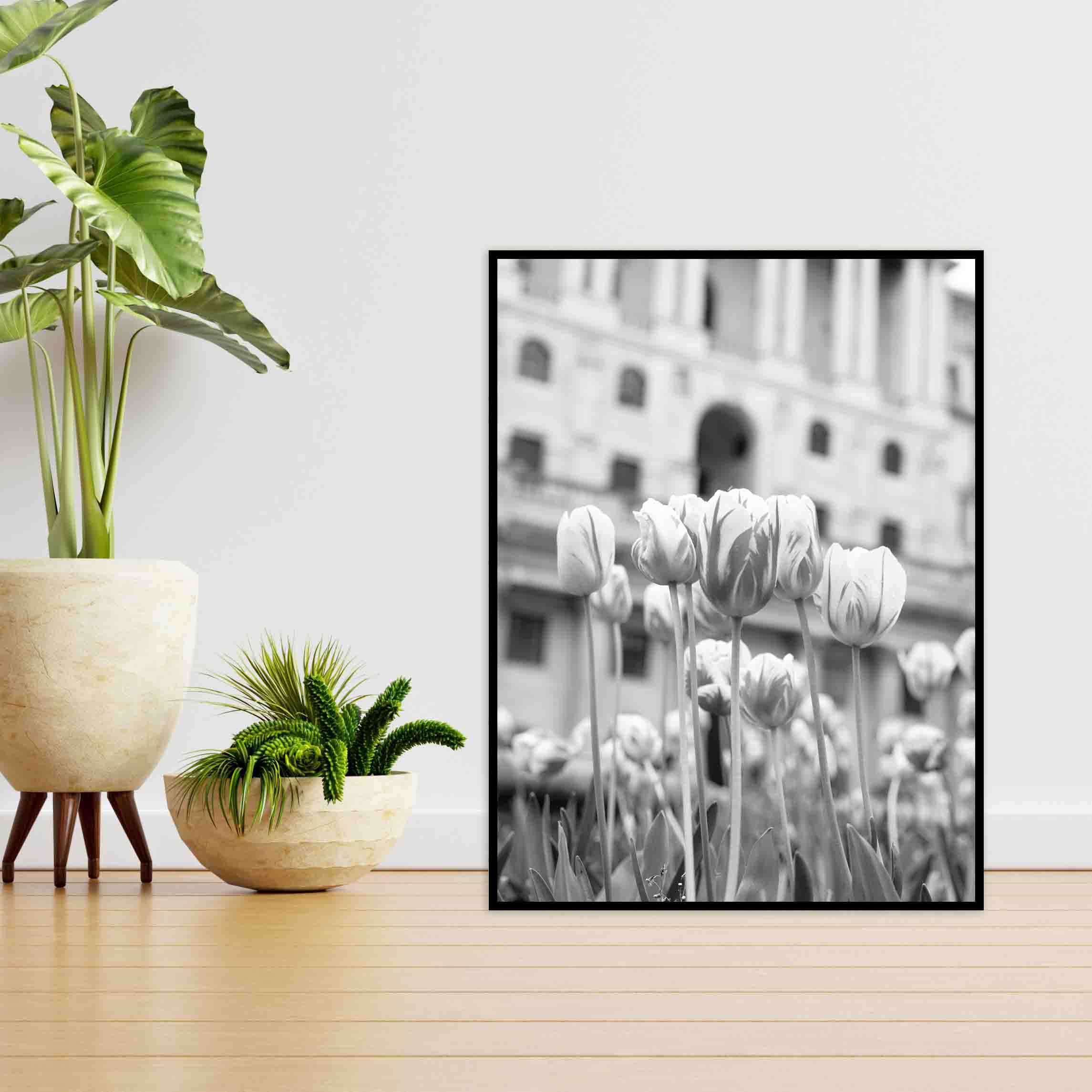 Quadro - Michel Fraitag - Colorless Flowers 8 - Imagem 4