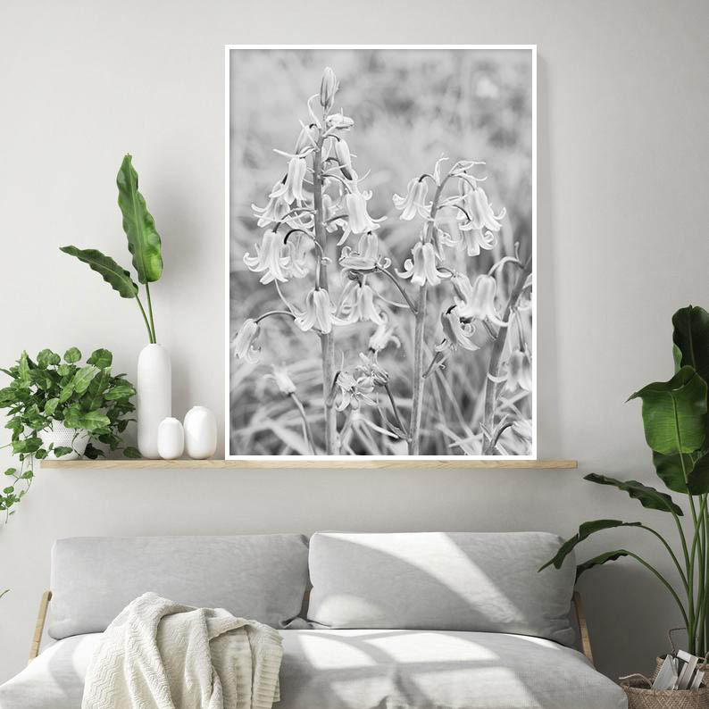 Quadro - Michel Fraitag - Colorless Flowers 9 - Imagem 3