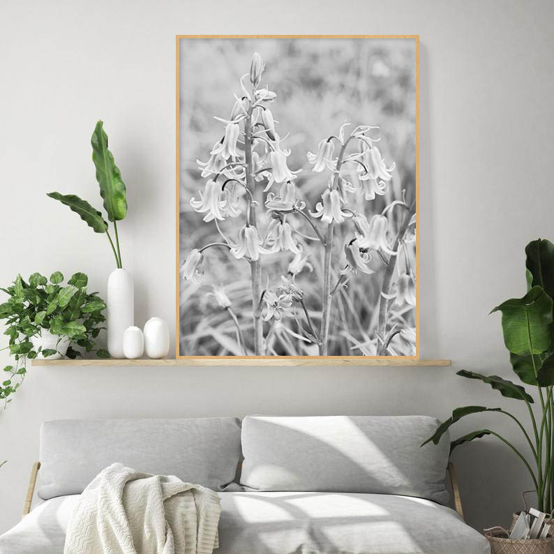 Quadro - Michel Fraitag - Colorless Flowers 9 - Imagem 2