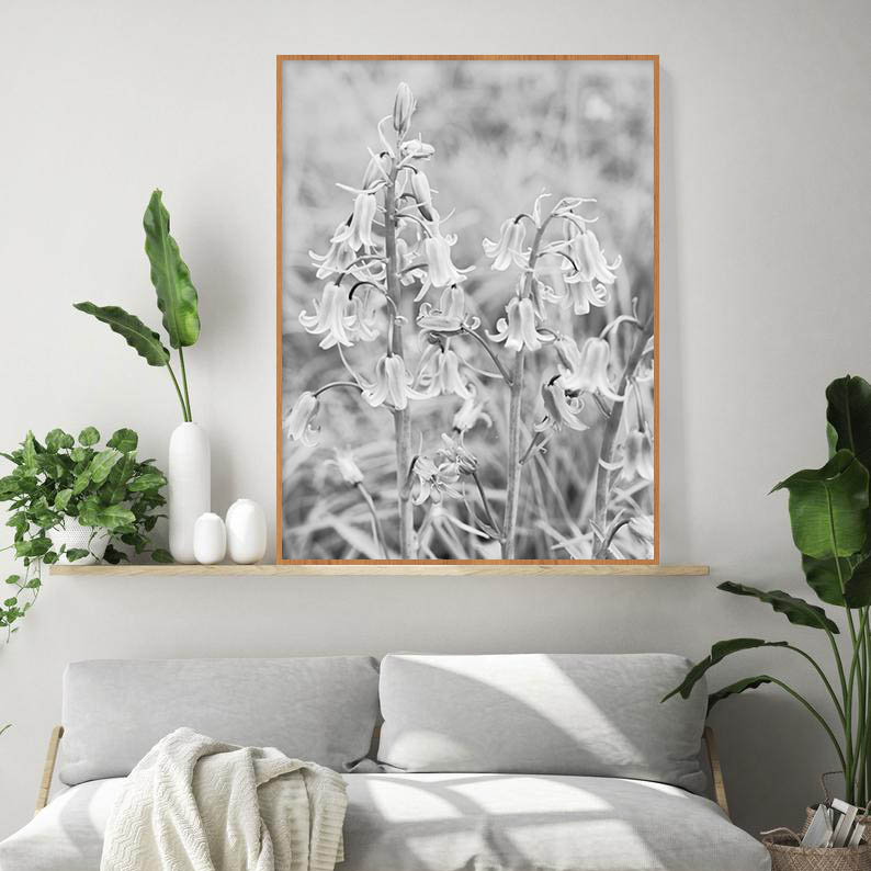 Quadro - Michel Fraitag - Colorless Flowers 9