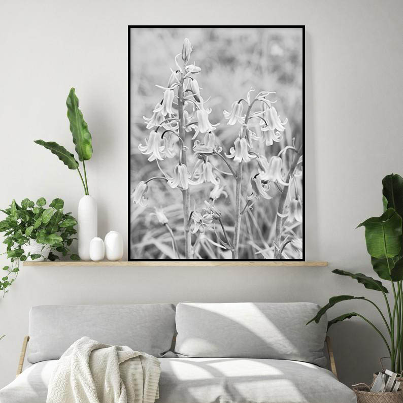 Quadro - Michel Fraitag - Colorless Flowers 9 - Imagem 4