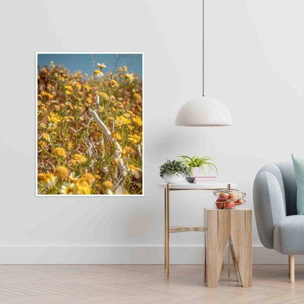 Quadro - Michel Fraitag - Common Daisy 1