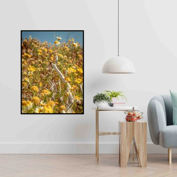 Quadro - Michel Fraitag - Common Daisy 1 - Image 4
