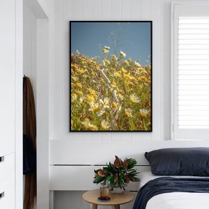 Quadro - Michel Fraitag - Common Daisy 2