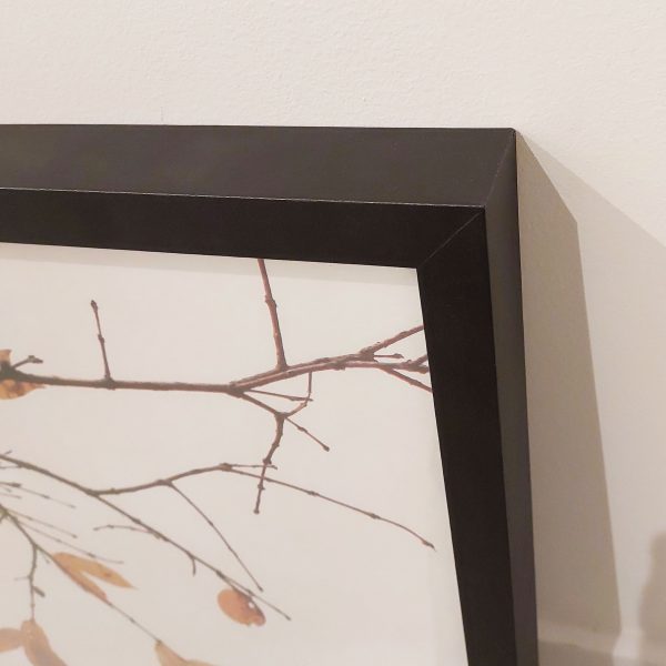 Quadro - Danilo Sbindio - Céu Branco - Imagem 5