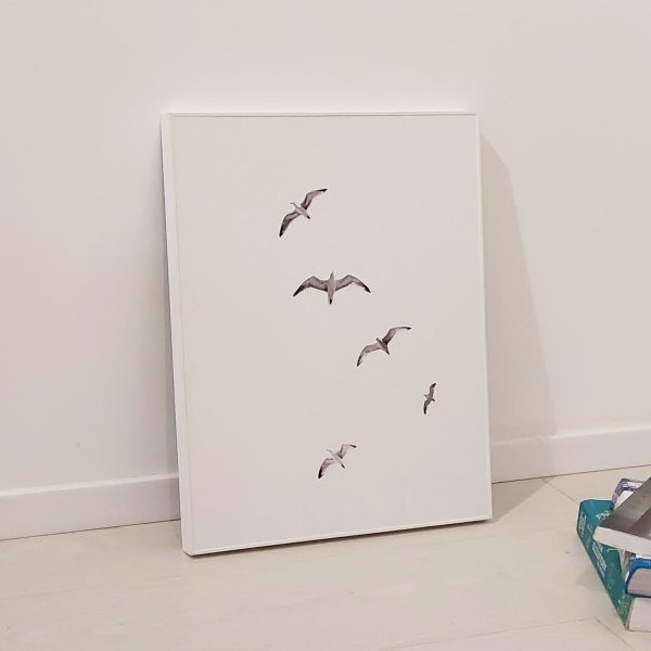 Di Quadri - Aves No Céu - Imagem 2