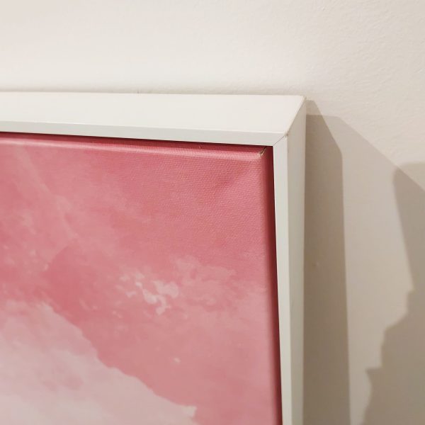 Quadro - Di Quadri - Pink Watercolor - Imagem 5