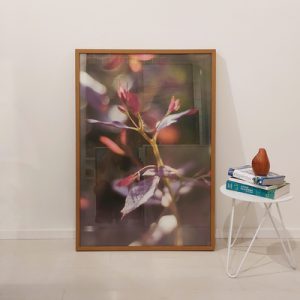 Quadro Bassegio - Abs121