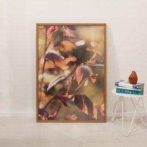 Quadro Bassegio - Abs122