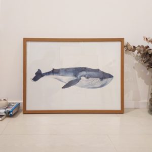 Quadro - Di Quadri - Baleia azul aquarela