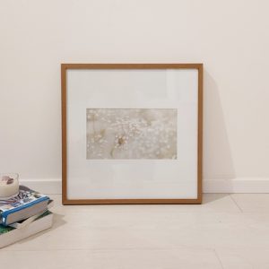 Quadro - Di Quadri - Many white flowers in clusters