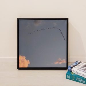 Quadro - Greice Emer - Voltando pra casa