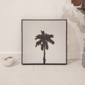 Quadro - Guilherme Pessanha - Coqueiro em fundo branco