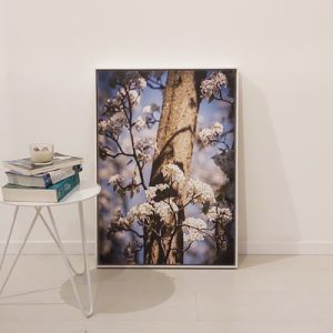 Quadro - Lise Rodembusch - Floresceu
