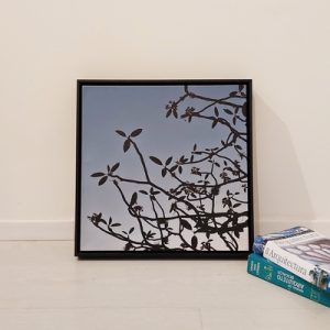 Quadros - Zulaine Santos - Fim de tarde