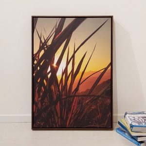 Quadro - Rafael Campezato - Farm