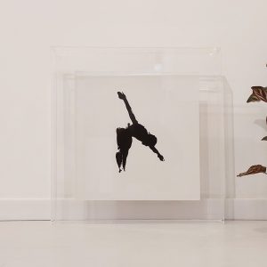 Quadro - Danilo Sbindio - Silhueta 5