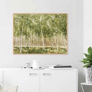 Quadro - Giba Souza - Bosque Vertical