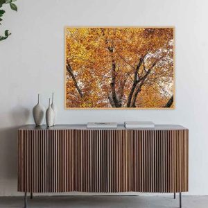 Quadro - Giba Souza - Copa Dourada