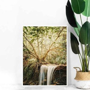 Quadro - Giba Souza - Floresta Tropical 1