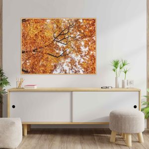 Quadro - Giba Souza - Folhas De Outono