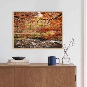 Quadro - Giba Souza - Outono Épico