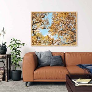 Quadro - Giba Souza - Outono Imponente