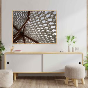 Quadro - Giba Souza - Textura Orgânica