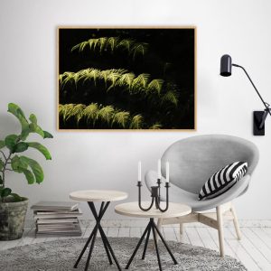 Quadro - Wagner Marroni - Samambaias