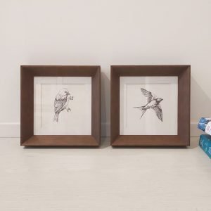 Dupla de Quadros - Di Quadri - Multiple Birds 2 e 5