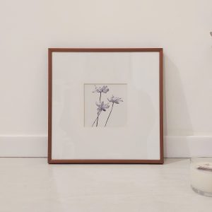 Quadro - Di Quadri - White Flowers in White Sky