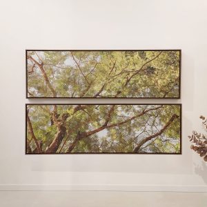 Dupla de Quadros - Giba Souza - Árvores 2