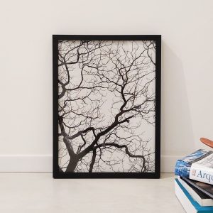 Quadro - Michel Fraitag - Galho de Inverno 2