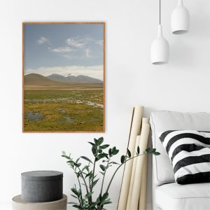 Quadro - Michel Fraitag - Atacama Vado Del Rio Putana 2