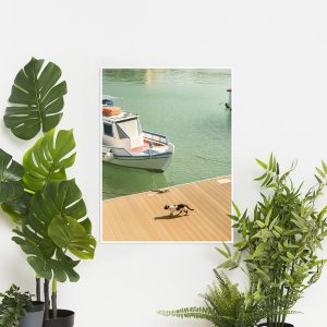 Quadro - Michel Fraitag - Barco E Serenidade 1