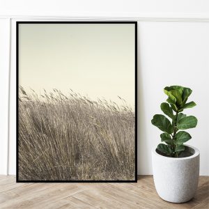 Quadro - Michel Fraitag - Capim Ao Vento