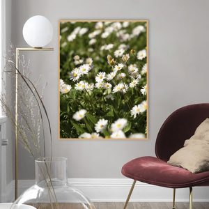Quadro - Michel Fraitag - Delicada Margarida
