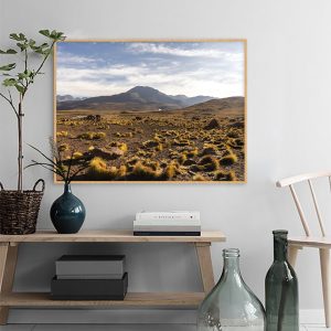 Quadro - Michel Fraitag - El Tatio Geysers Chile 1