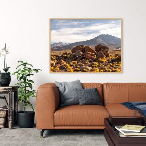 Quadro - Michel Fraitag - El Tatio Geysers Chile 2