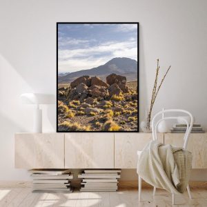 Quadro - Michel Fraitag - El Tatio Geysers Chile 3