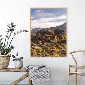 Quadro - Michel Fraitag - El Tatio Geysers Chile 5