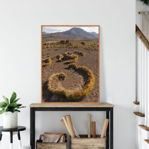 Quadro - Michel Fraitag - El Tatio Geysers Chile 6