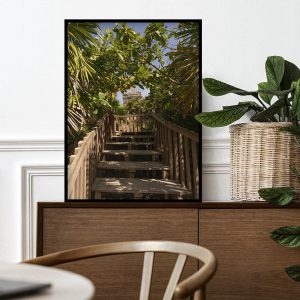 Quadro - Michel Fraitag - Entre Luz E Folhas Tropicais 1