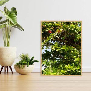 Quadro - Michel Fraitag - Entre Luz E Folhas Tropicais 2