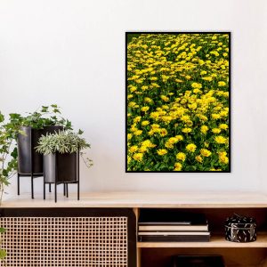 Quadro - Michel Fraitag - Flor Do Sol