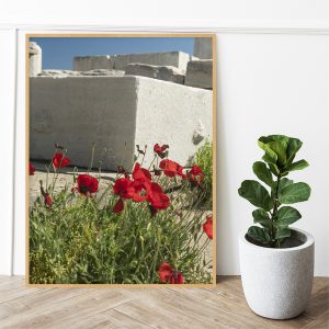 Quadro - Michel Fraitag - Flores Gregas 1