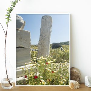 Quadro - Michel Fraitag - Flores Gregas 3